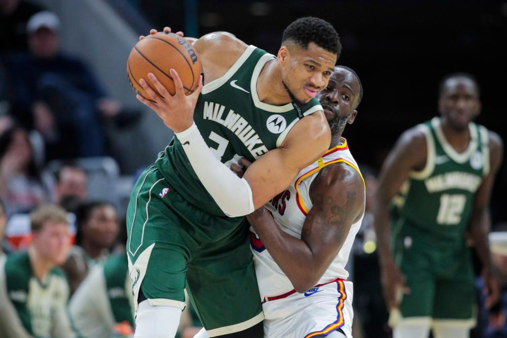 们提供了一 们提供了一