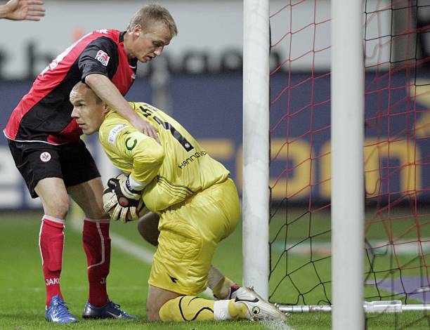 丹佛野马 丹佛野马